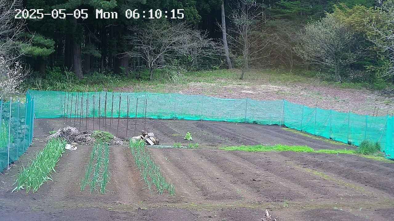 kannonmori-20250505061016.jpg