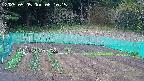 kannonmori-20250505061016.jpg