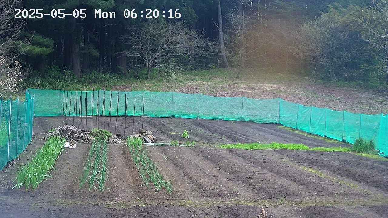 kannonmori-20250505062017.jpg