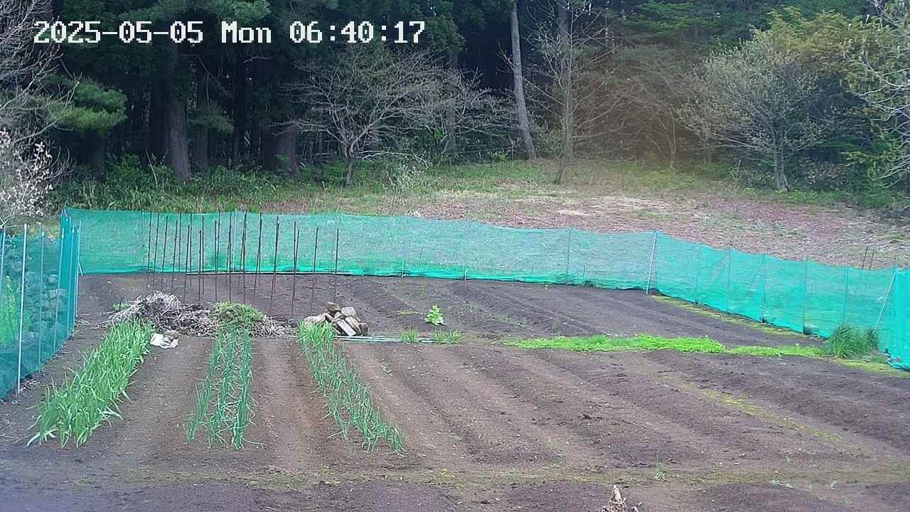 kannonmori-20250505064018.jpg