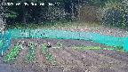 kannonmori-20250505064018.jpg