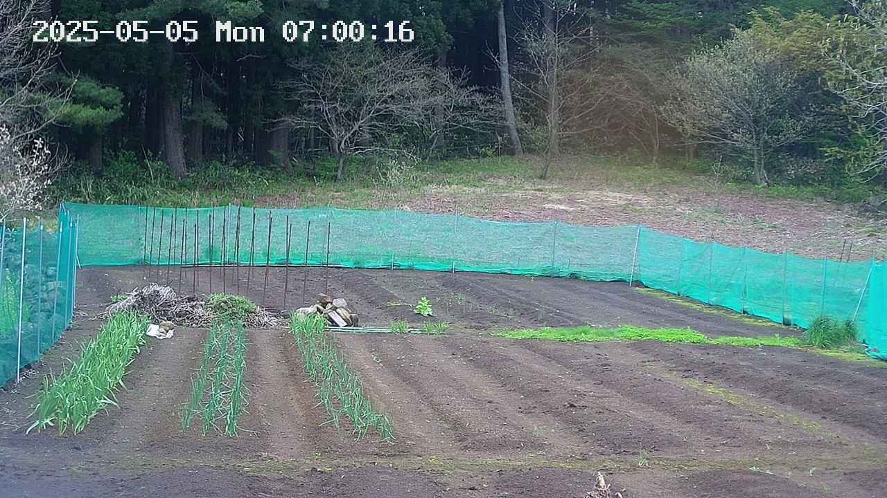 kannonmori-20250505070018.jpg