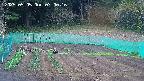kannonmori-20250505070018.jpg