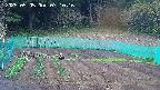 kannonmori-20250505071018.jpg