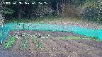 kannonmori-20250505072016.jpg