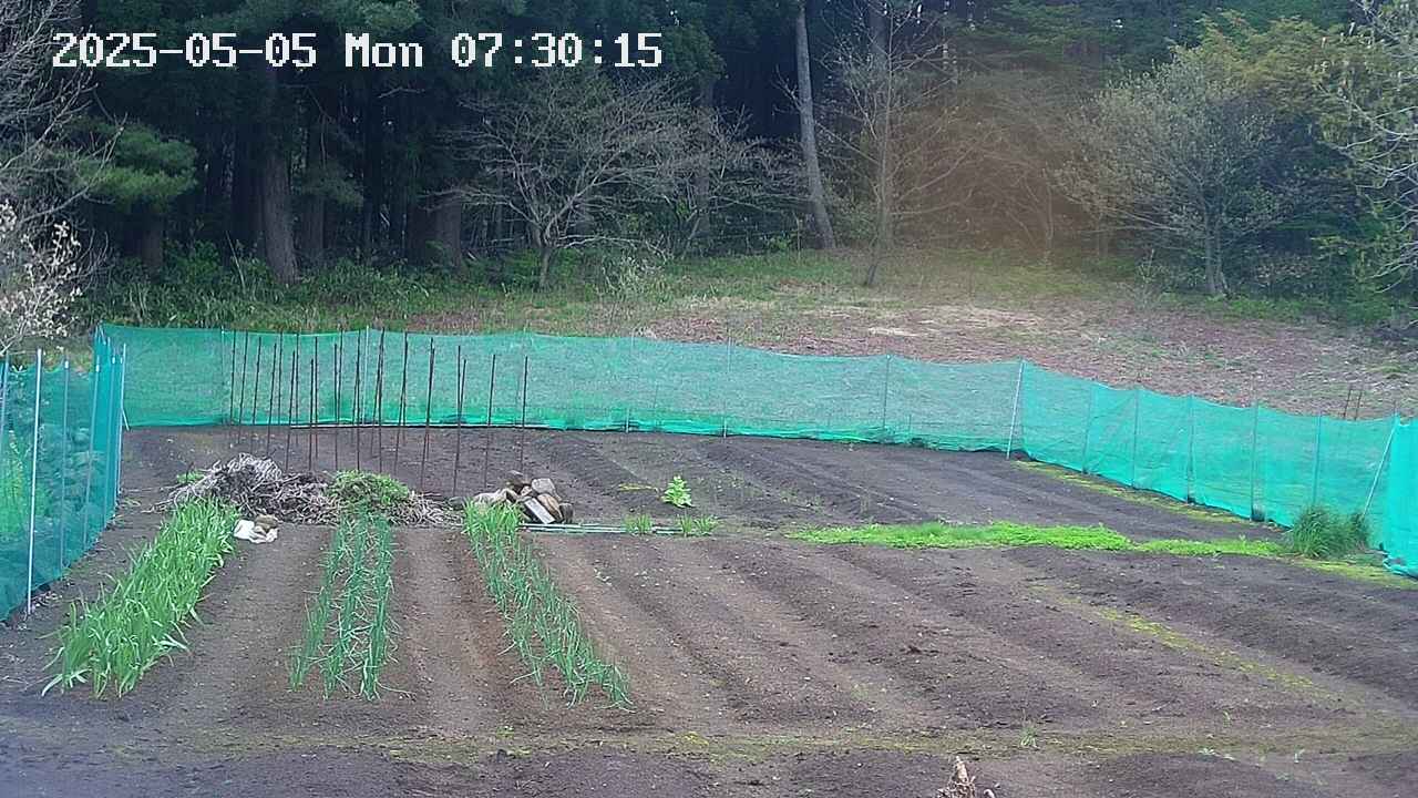 kannonmori-20250505073016.jpg