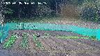 kannonmori-20250505074016.jpg