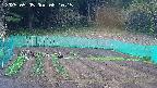 kannonmori-20250505081017.jpg
