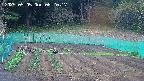 kannonmori-20250505082018.jpg