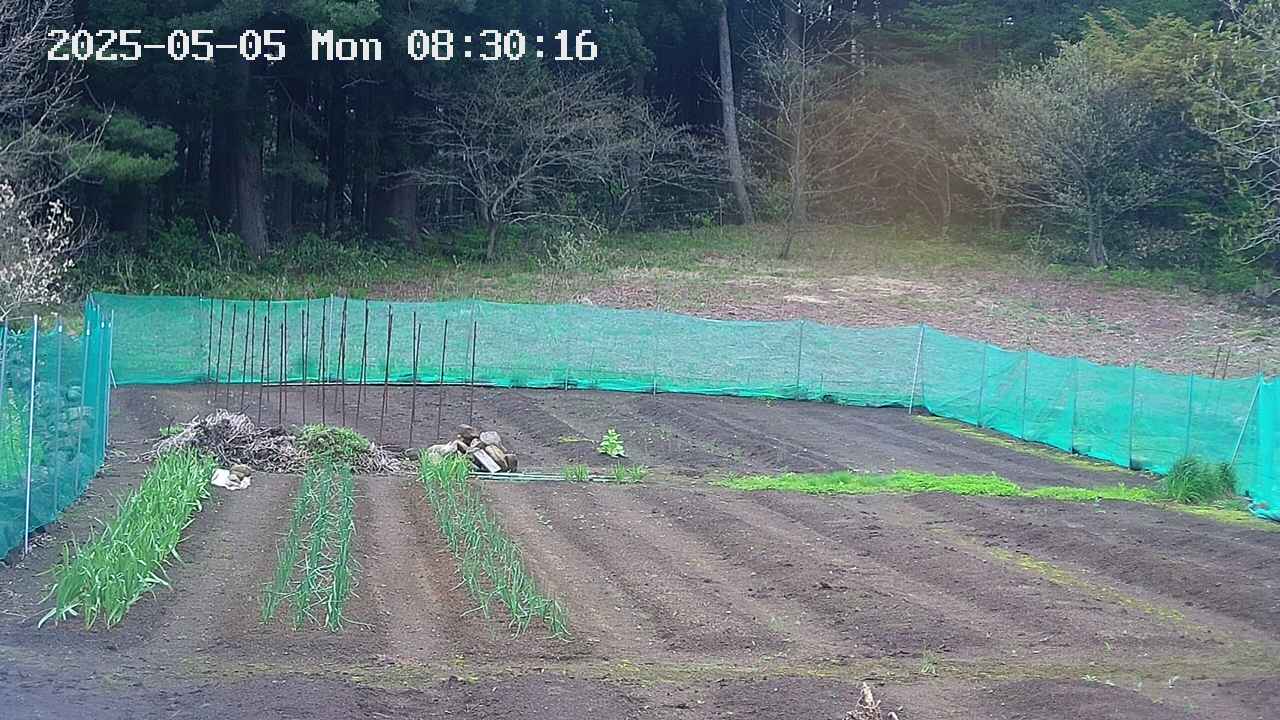 kannonmori-20250505083017.jpg
