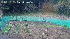 kannonmori-20250505083017.jpg