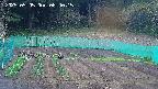 kannonmori-20250505084016.jpg