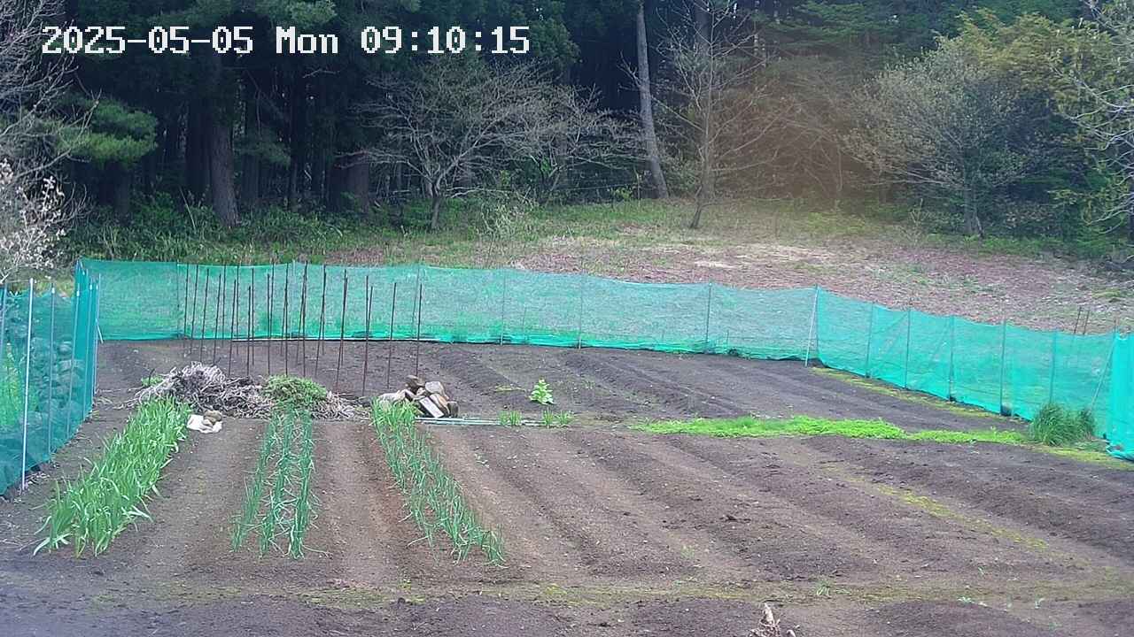 kannonmori-20250505091016.jpg