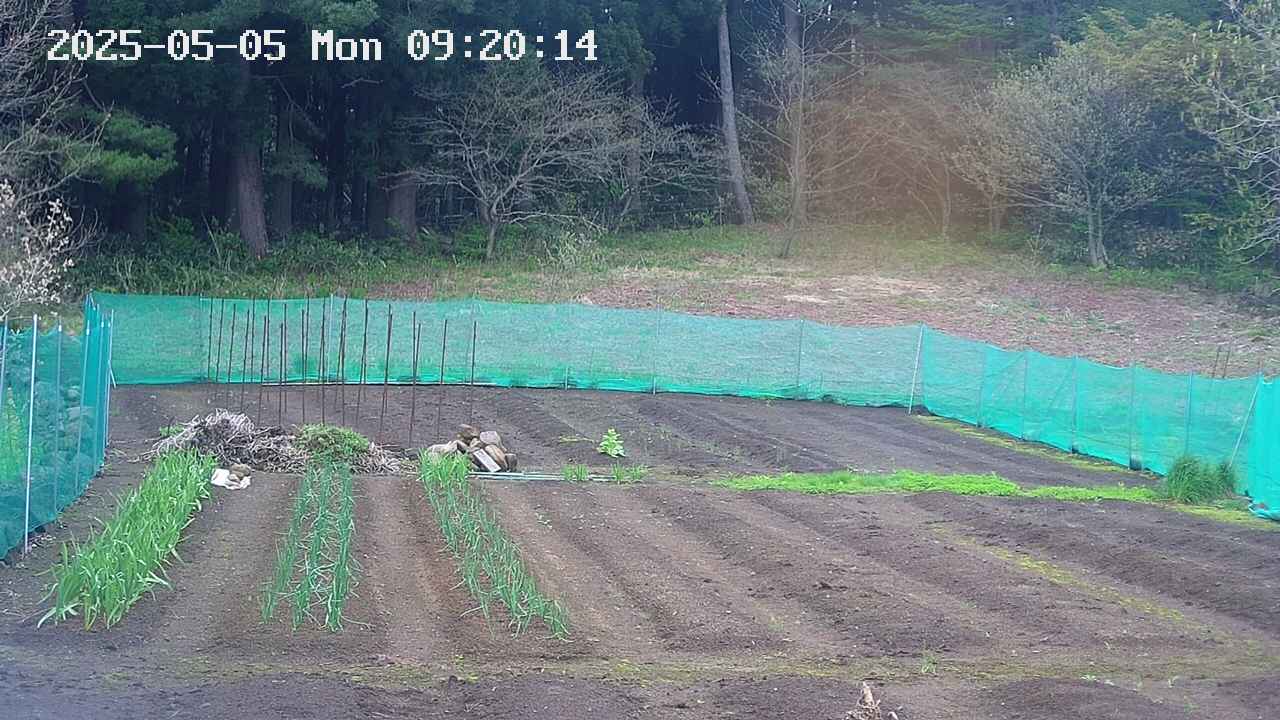 kannonmori-20250505092015.jpg