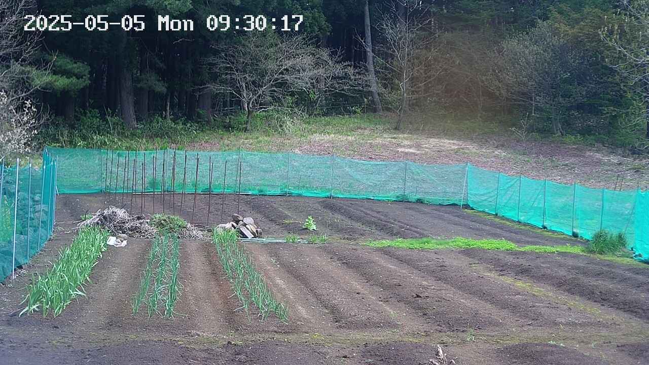 kannonmori-20250505093019.jpg