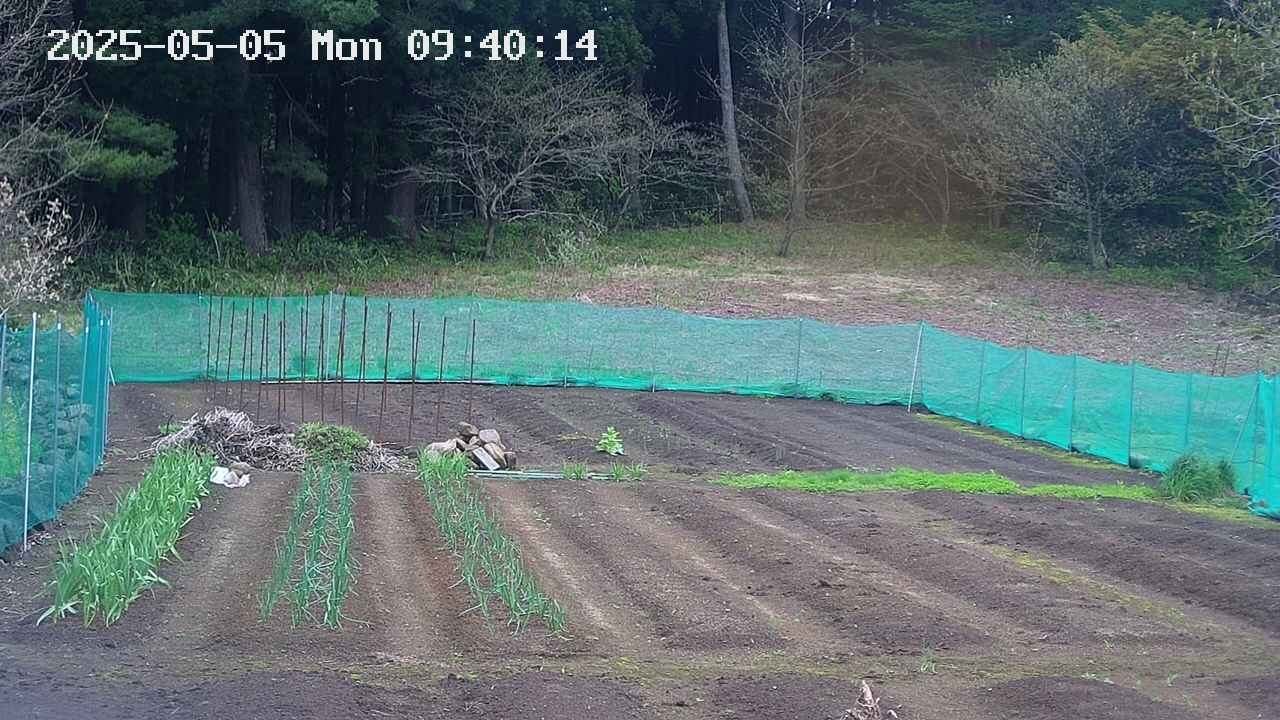 kannonmori-20250505094017.jpg