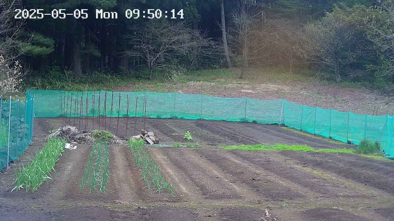 kannonmori-20250505095016.jpg