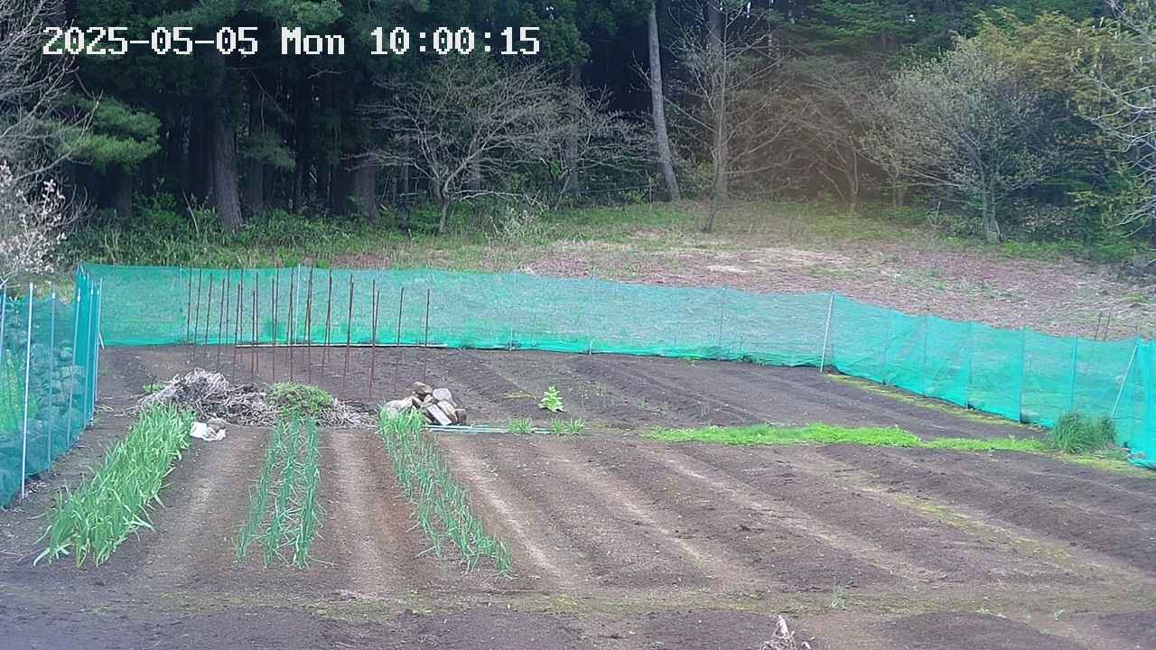 kannonmori-20250505100017.jpg