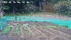 kannonmori-20250505100017.jpg