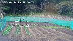 kannonmori-20250505101015.jpg