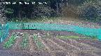 kannonmori-20250505102017.jpg