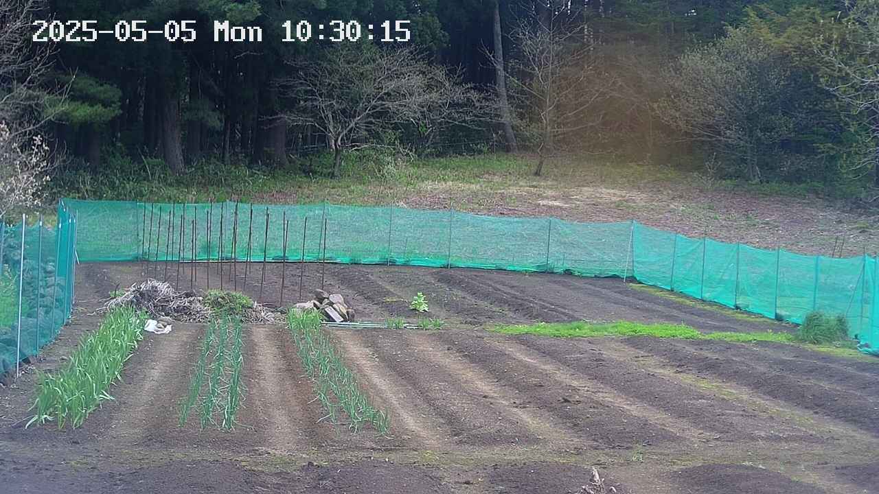 kannonmori-20250505103017.jpg