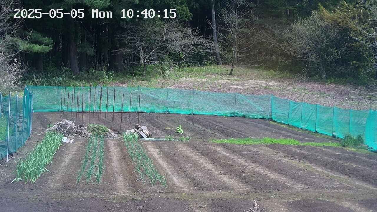 kannonmori-20250505104020.jpg