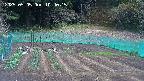 kannonmori-20250505104020.jpg