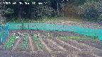 kannonmori-20250505105016.jpg