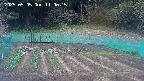 kannonmori-20250505110017.jpg