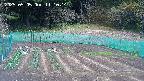 kannonmori-20250505111016.jpg