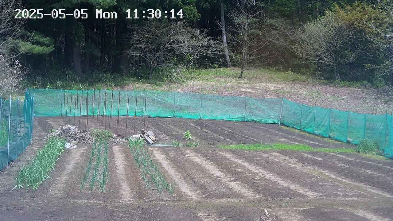 kannonmori-20250505113016.jpg