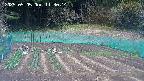 kannonmori-20250505113016.jpg