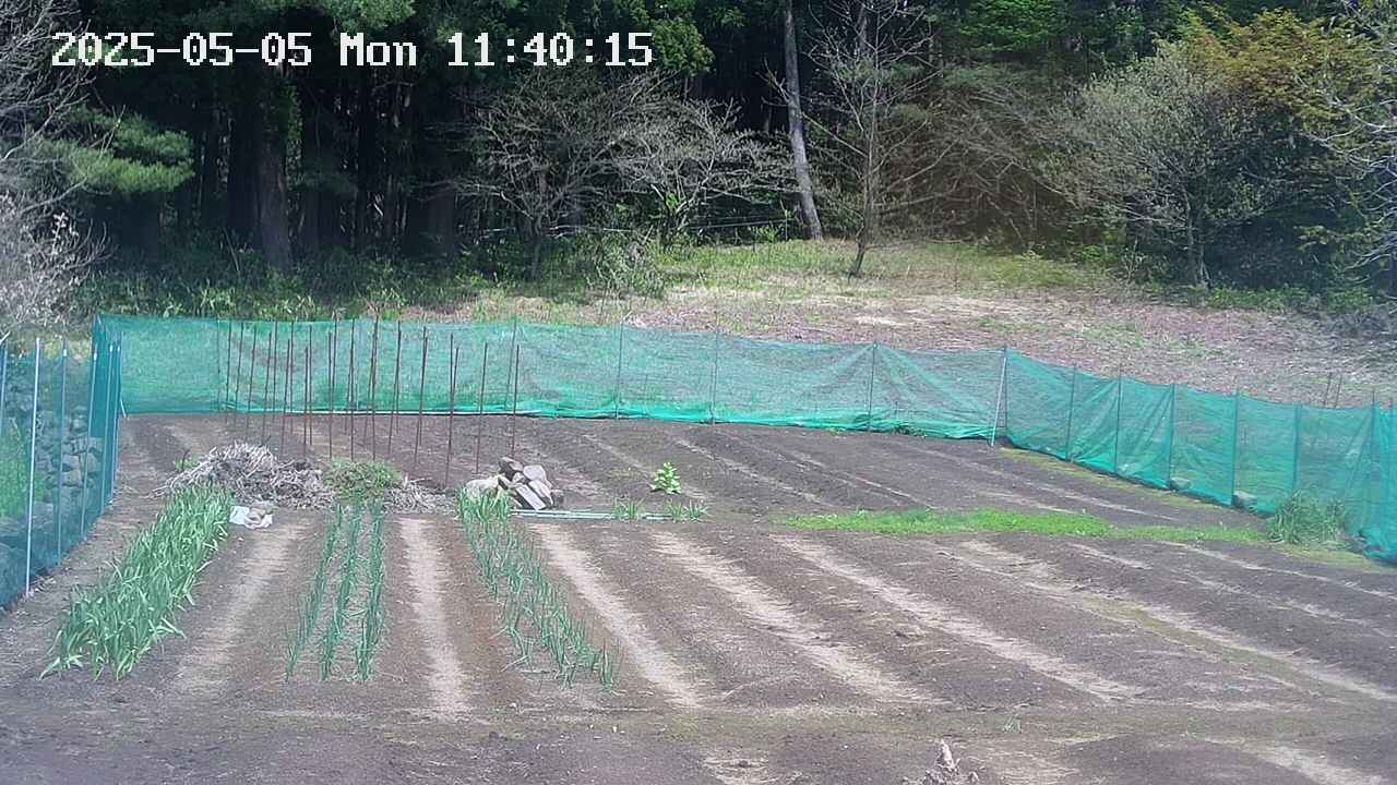 kannonmori-20250505114017.jpg