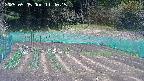 kannonmori-20250505114017.jpg