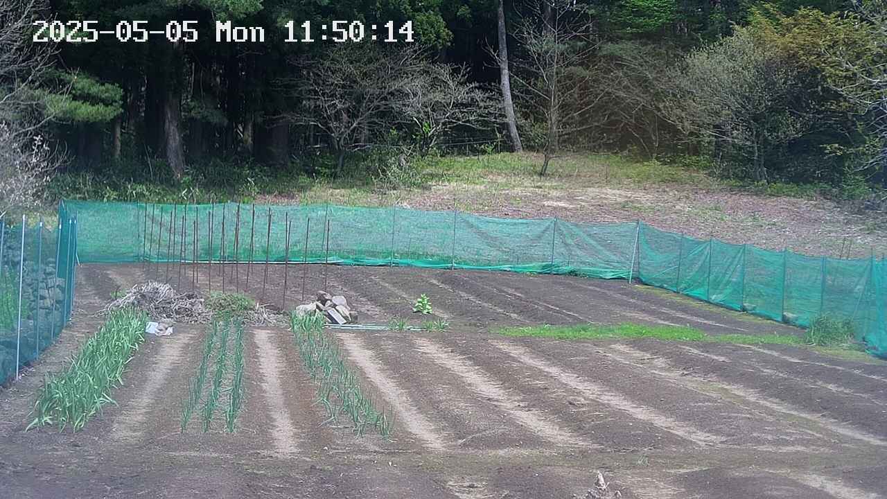 kannonmori-20250505115017.jpg