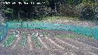 kannonmori-20250505115017.jpg