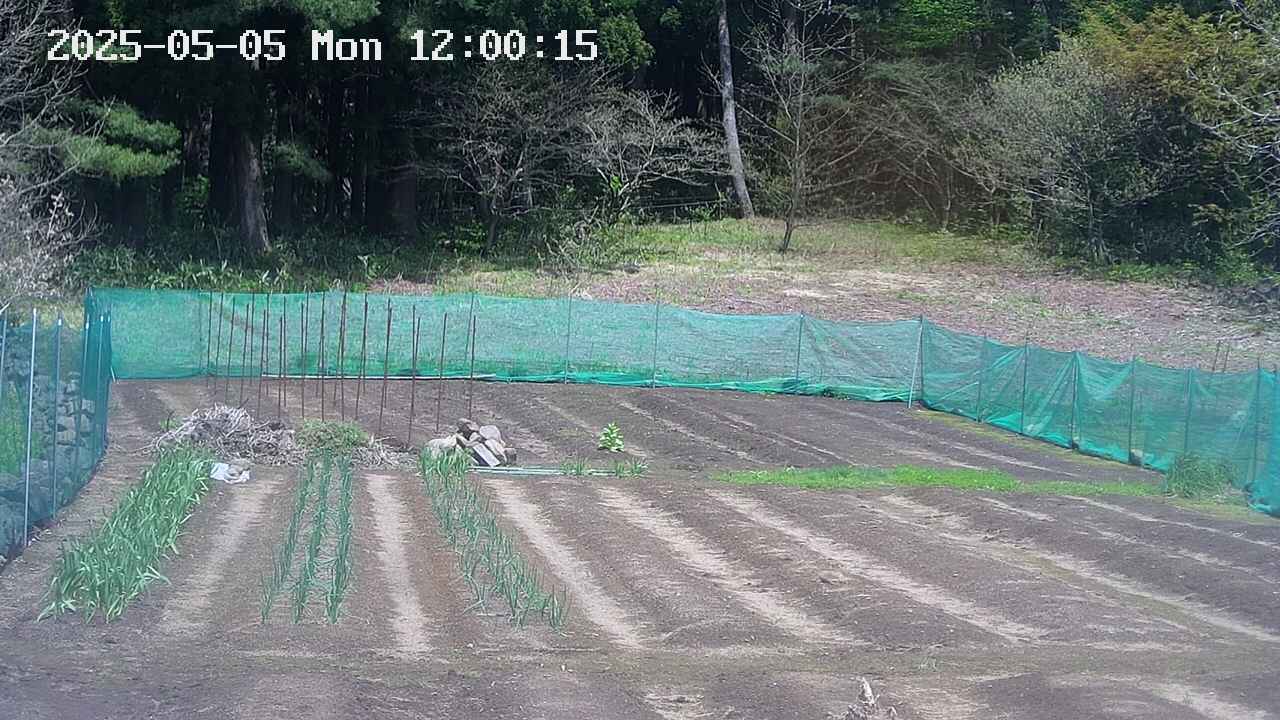 kannonmori-20250505120017.jpg