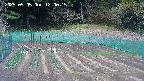 kannonmori-20250505120017.jpg