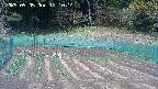 kannonmori-20250505121017.jpg