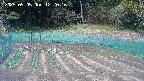 kannonmori-20250505122024.jpg