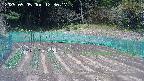 kannonmori-20250505123025.jpg
