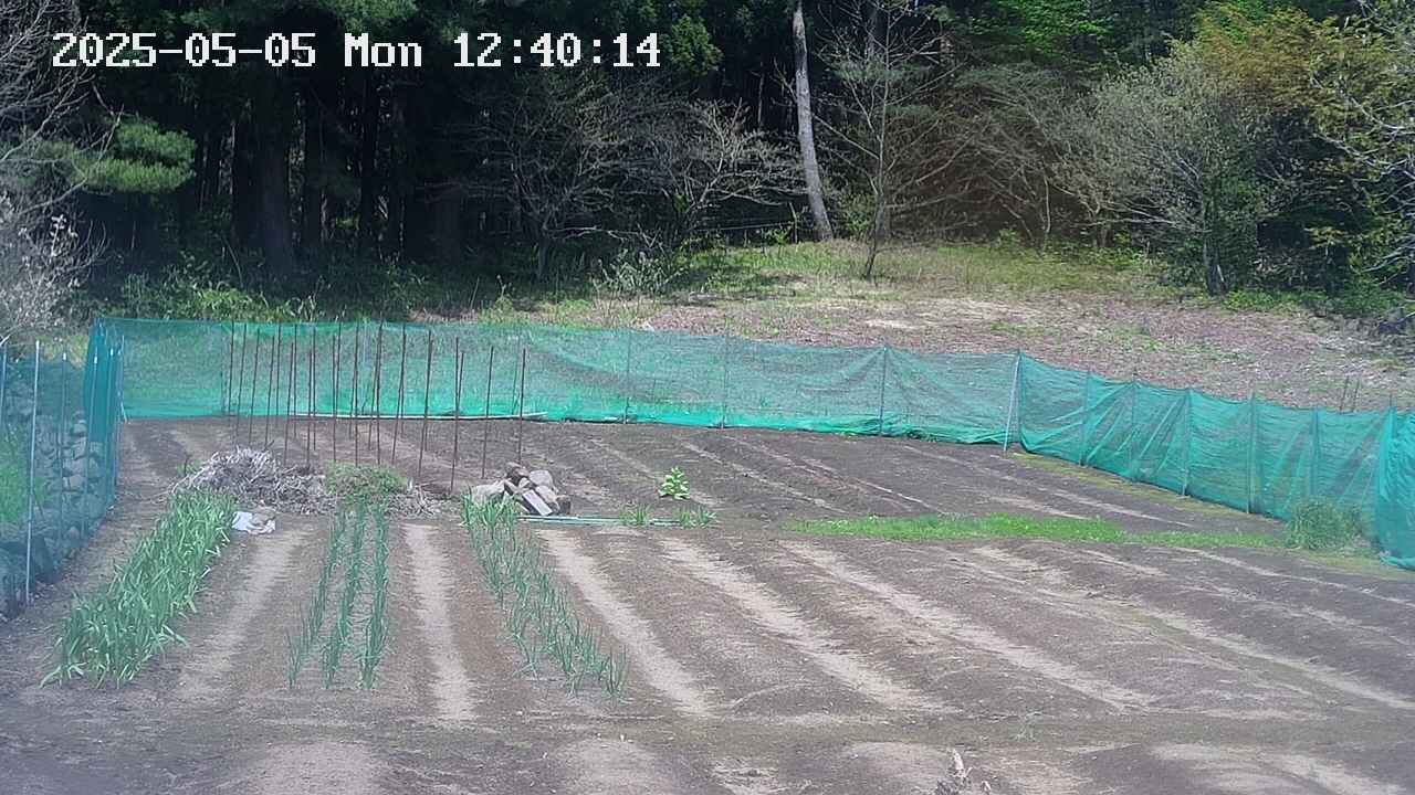 kannonmori-20250505124016.jpg