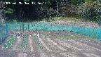 kannonmori-20250505124016.jpg