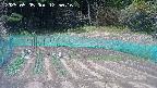 kannonmori-20250505125022.jpg