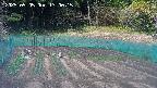 kannonmori-20250505130030.jpg