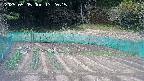 kannonmori-20250505132017.jpg