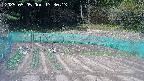 kannonmori-20250505133016.jpg