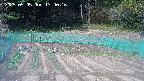 kannonmori-20250505134025.jpg