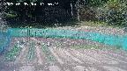 kannonmori-20250505135026.jpg